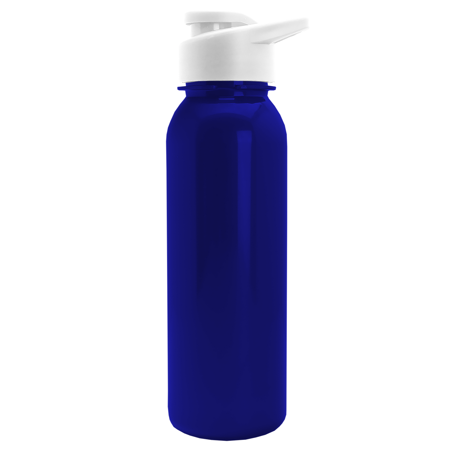 Terrain Metallike Bottle with Drink-Thru Lid - 24 oz.