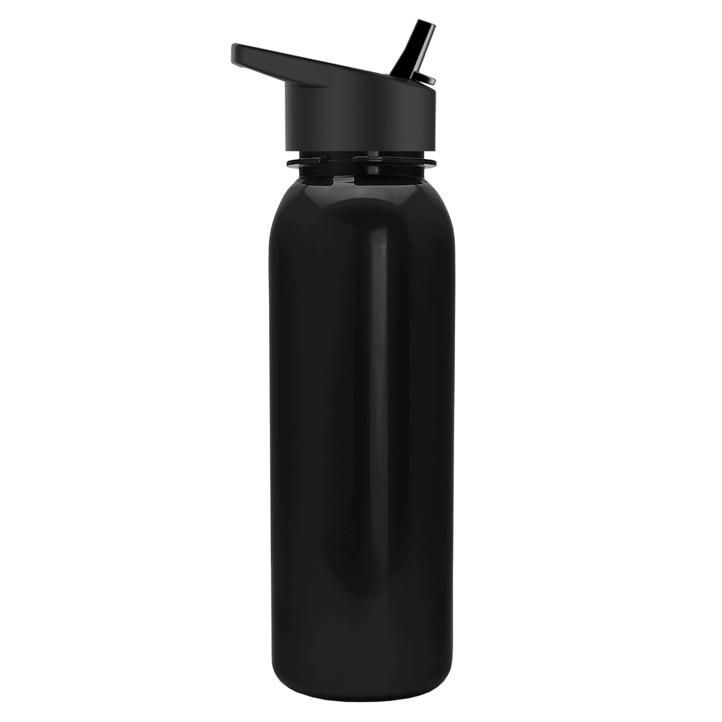 Terrain Metallike Bottle with Flip-Straw Lid - 24 oz.