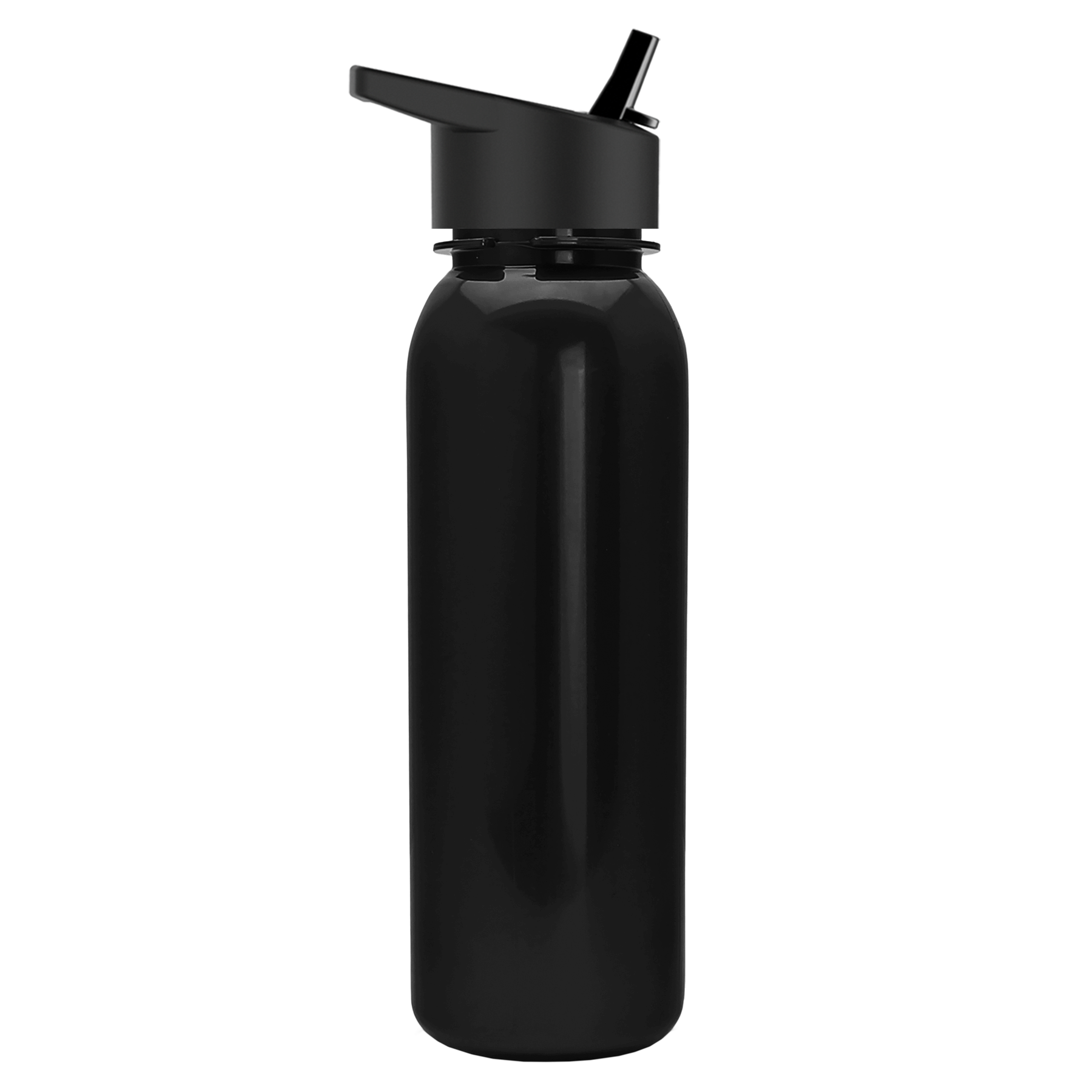 Terrain Metallike Bottle with Flip-Straw Lid - 24 oz.