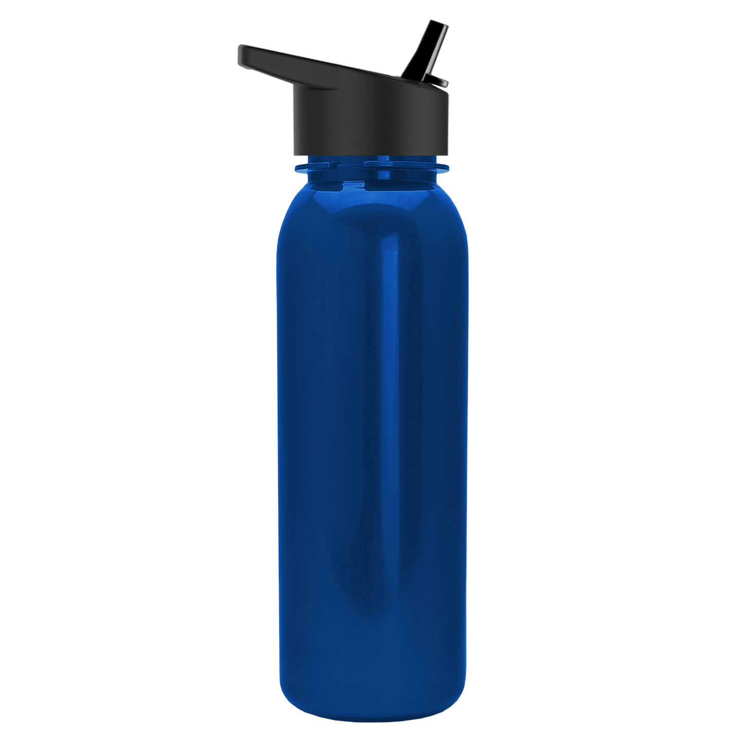 Terrain Metallike Bottle with Flip-Straw Lid - 24 oz.