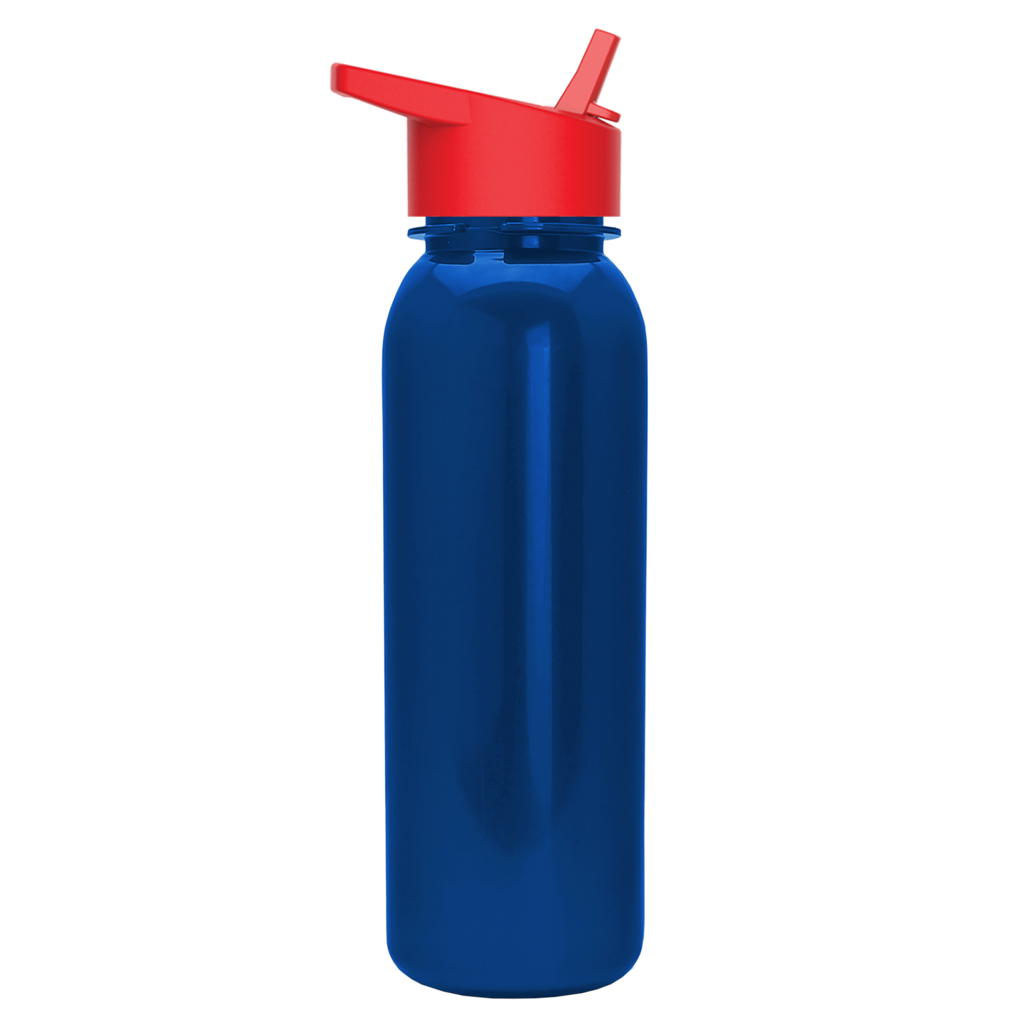 Terrain Metallike Bottle with Flip-Straw Lid - 24 oz.