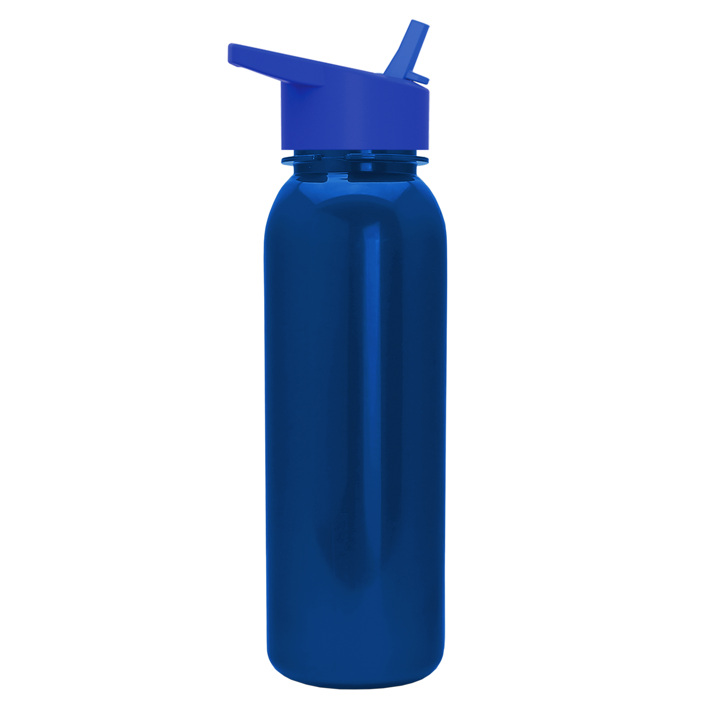 Terrain Metallike Bottle with Flip-Straw Lid - 24 oz.