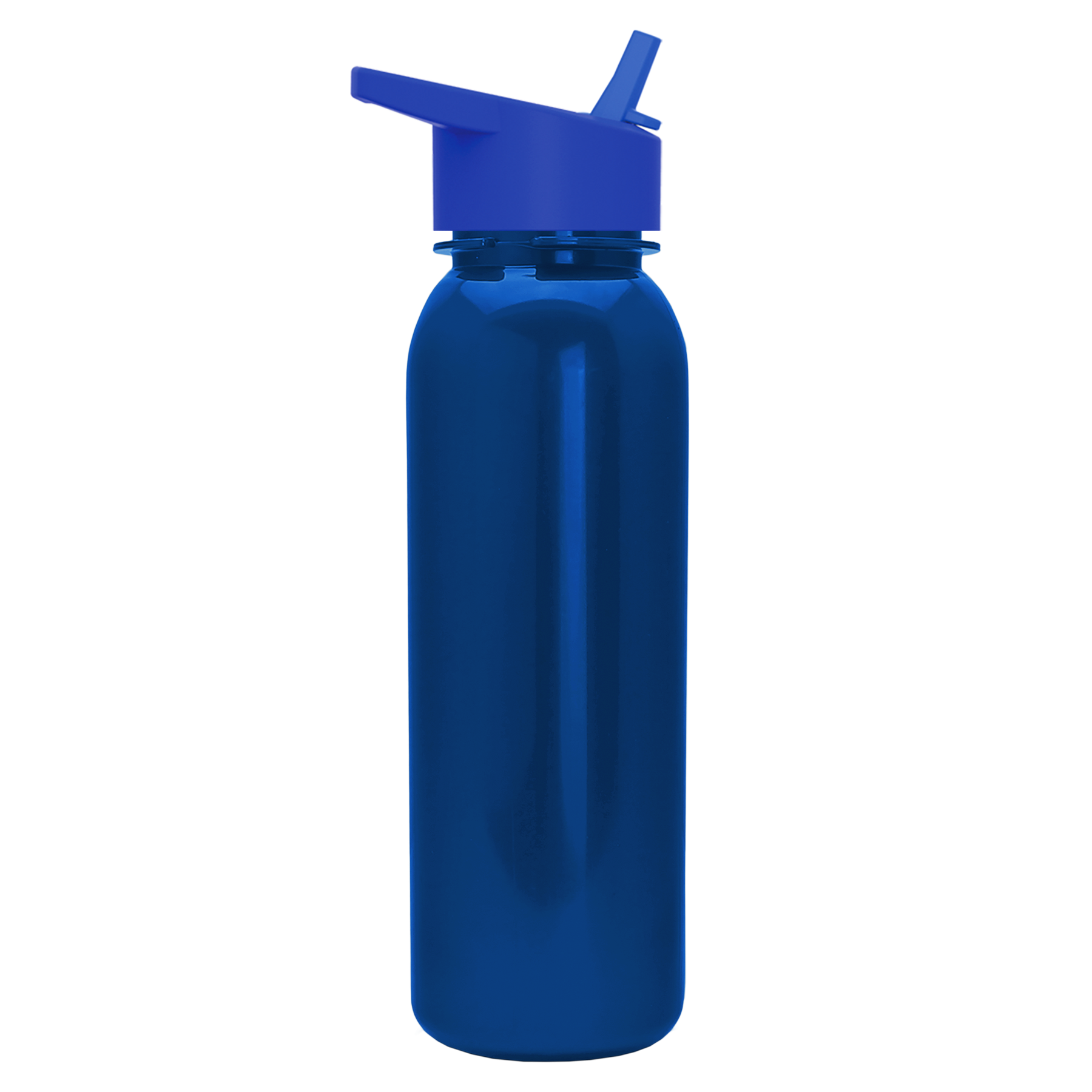 Terrain Metallike Bottle with Flip-Straw Lid - 24 oz.