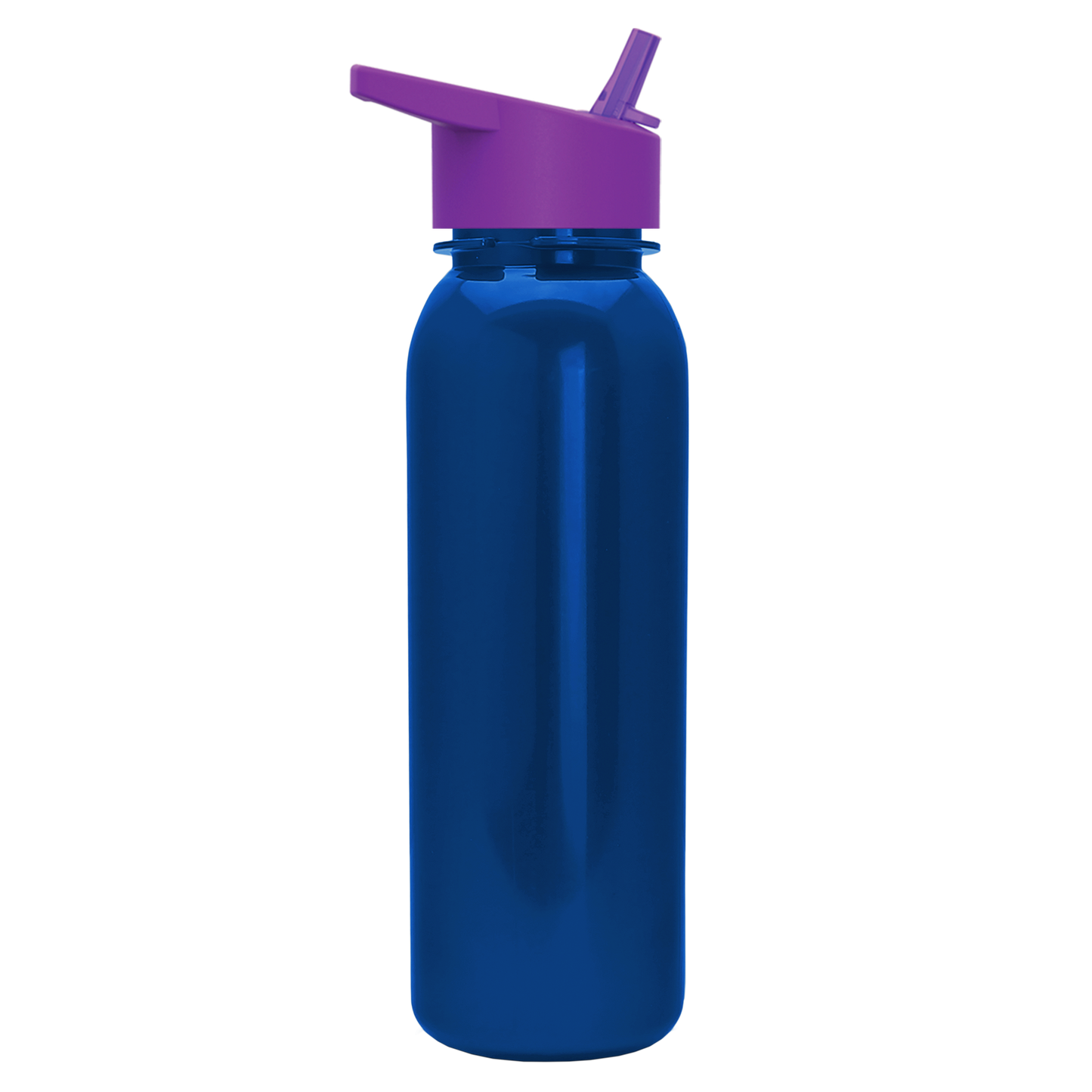 Terrain Metallike Bottle with Flip-Straw Lid - 24 oz.