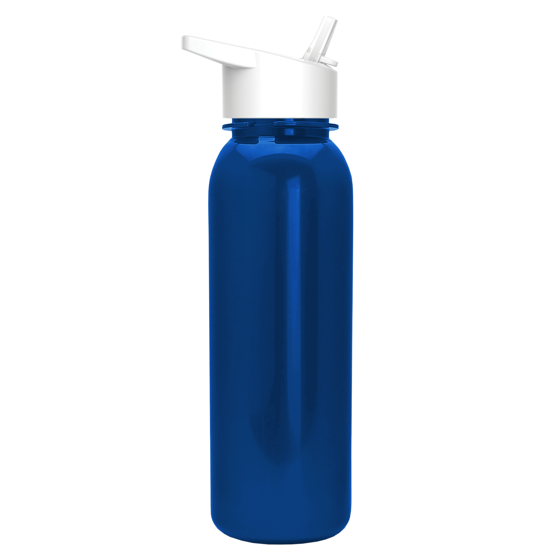 Terrain Metallike Bottle with Flip-Straw Lid - 24 oz.
