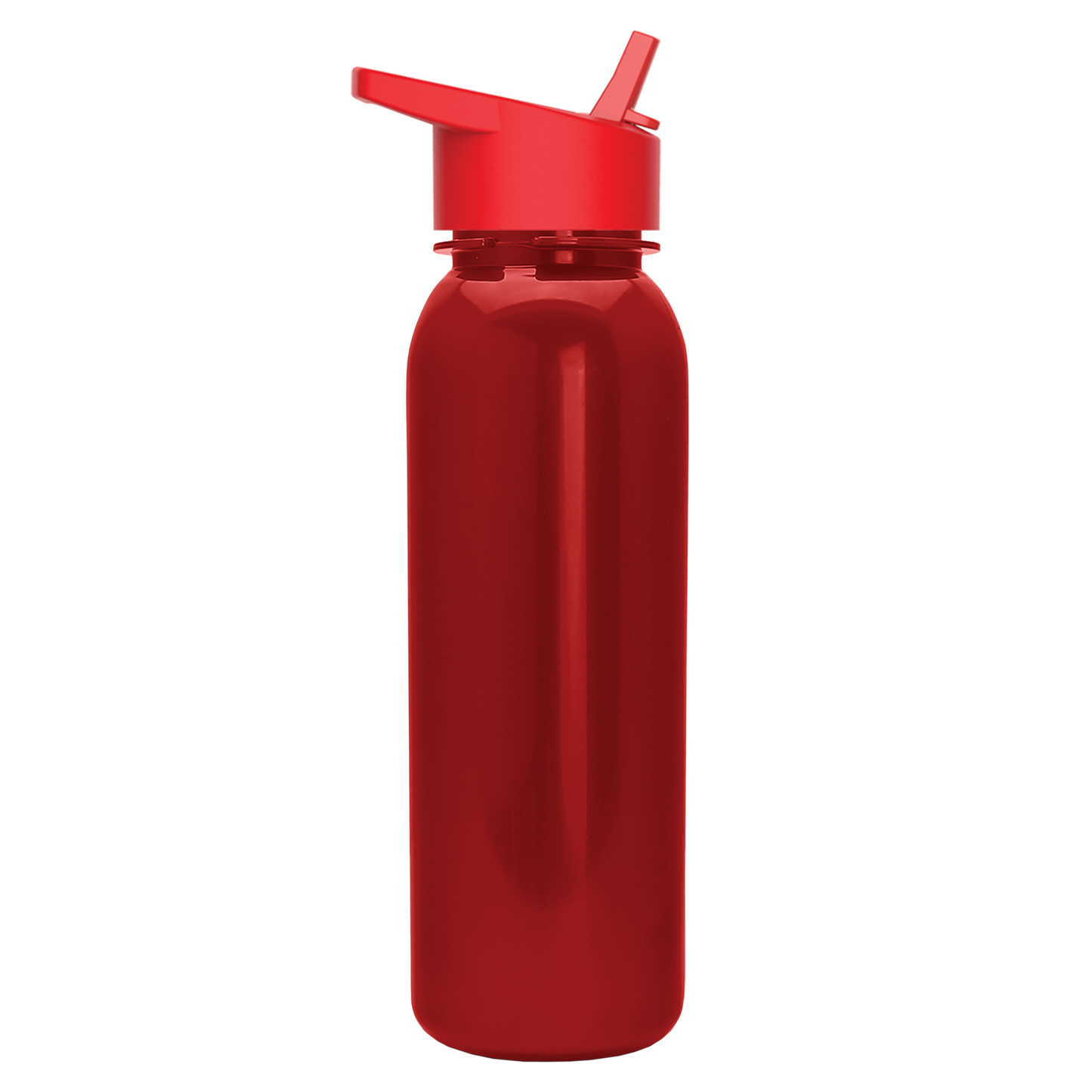 Terrain Metallike Bottle with Flip-Straw Lid - 24 oz.