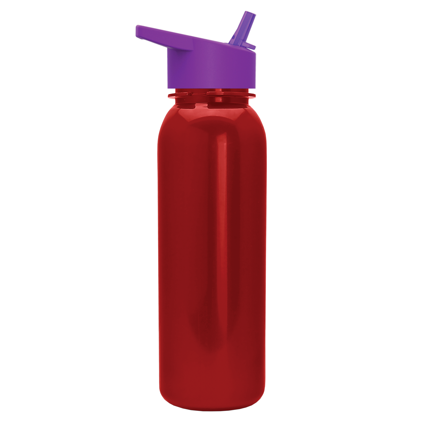 Terrain Metallike Bottle with Flip-Straw Lid - 24 oz.