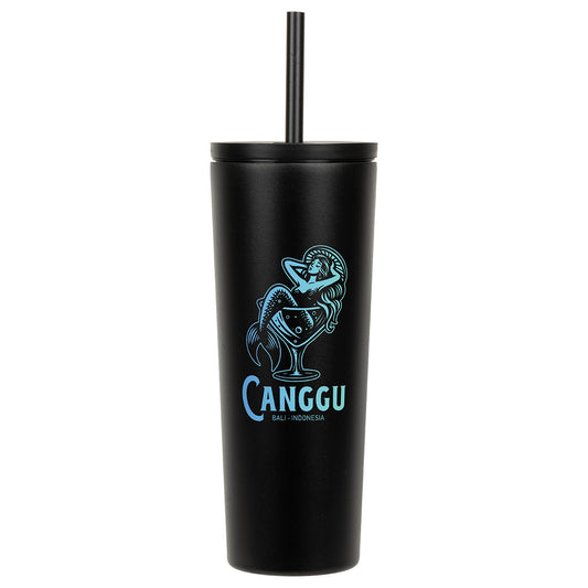 Bradford 24 oz Vacuum Insulated Stainless Steel Tumbler with Straw