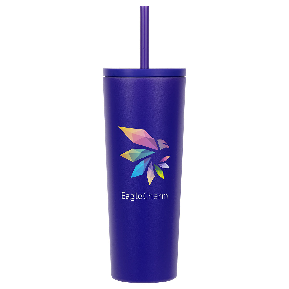 Bradford 24 oz Vacuum Insulated Stainless Steel Tumbler with Straw
